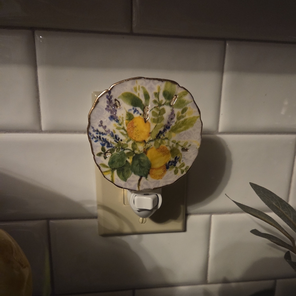 Lemone Floral All Natural Sand Dollar Nite Light Medium Size